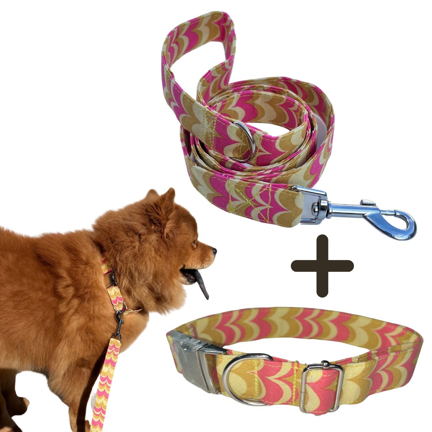 Collar y Correa para Mascotas Broche Metal Modelo Amarosa