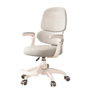 Silla de Escritorio Infantil Ergonomica Regulable 608F Apoyabrazos Gris